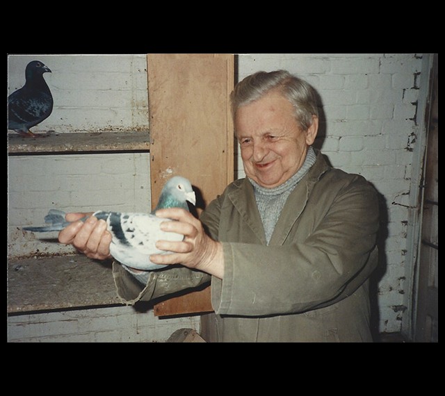 Louis was always so proud of their pigeons, handing over the famous 019 for me to handle.