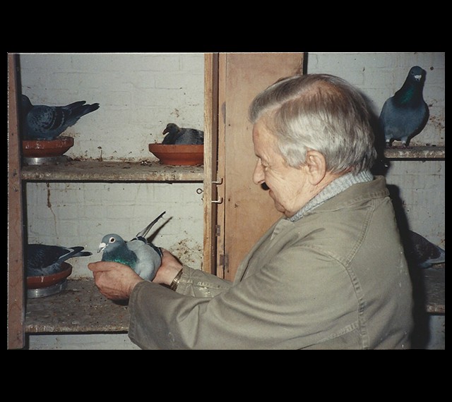 Louis handing me the famous SCHOUWMAN (Belg 6371905-76) in their breeding loft.  Later this pigeon was given to Henk Kuylaars as a present.